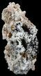 Calcite & Aragonite Stalactite Formation - Morocco #51834-2